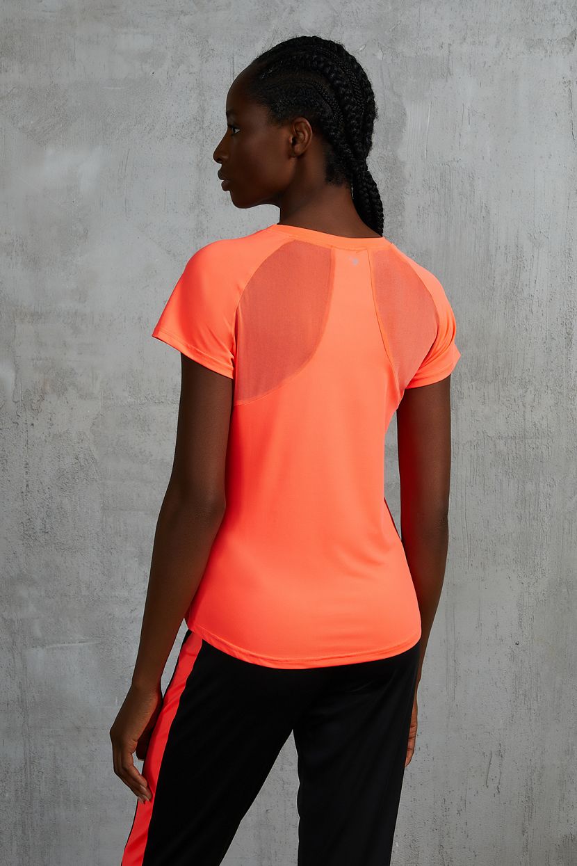 фото Футболка кор.рук. baon